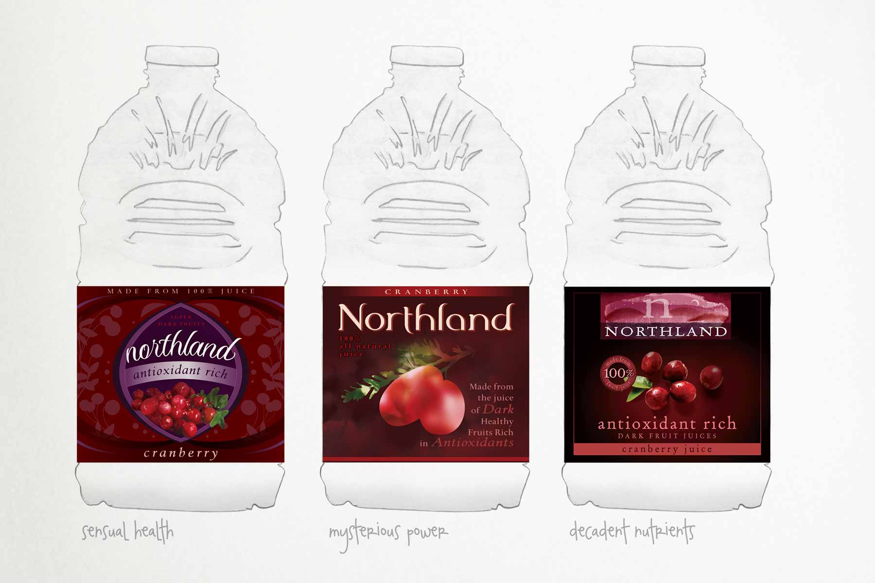 Additional design concepts for Northland Juices. Created for Workshop Branding.
