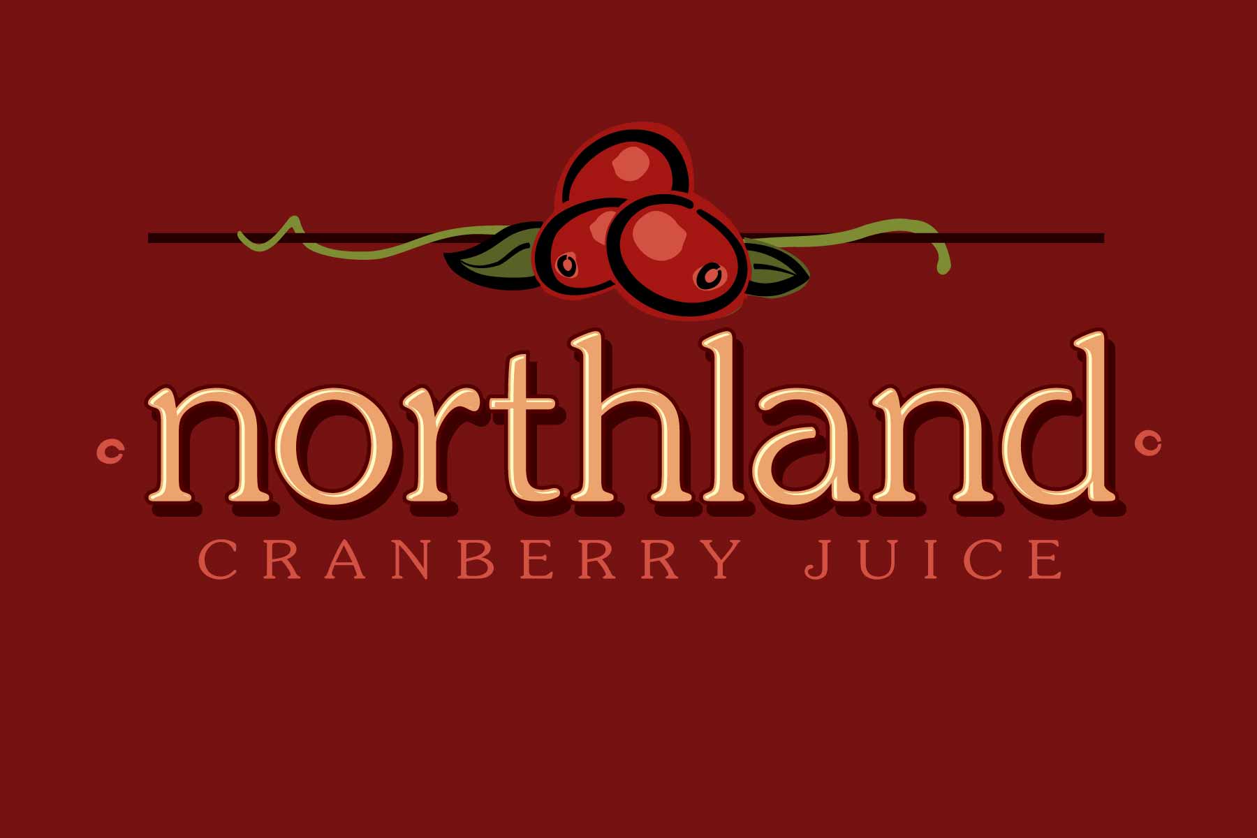 Brand identity for Northland Juices. Created for Workshop Branding.